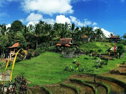Внешний вид отеля Bali Lush